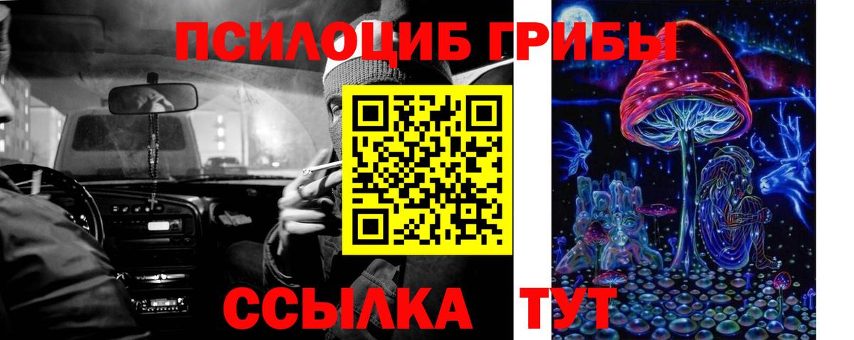 Дзержинск  Галлюциногенные грибы Magic Shrooms  Псилоцибиновые грибы Magic Shrooms  Вход с VPN 